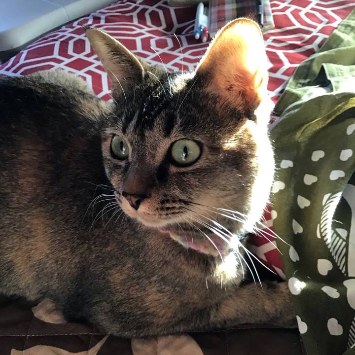 8262a377 b51d 4192 a96a e30e7497a6f7 1616054620862