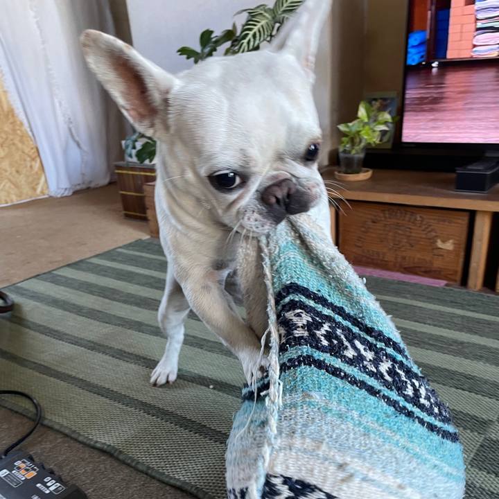 8262b3cd 8748 4731 8c64 d915eb585683 1723877617506