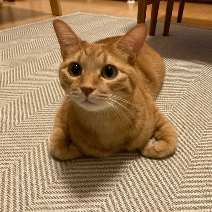 8262c406 00fa 4133 b9c1 e45dba86f5aa 1762147482250