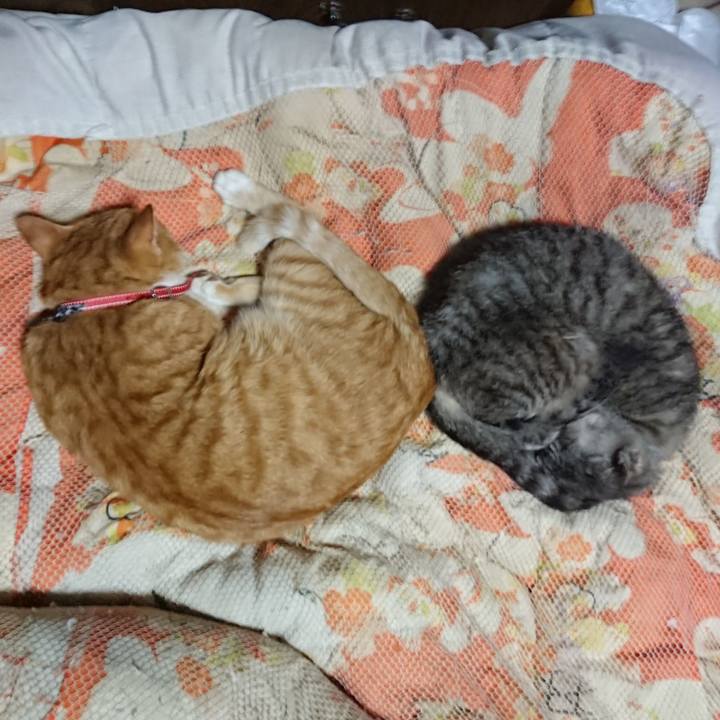 826347e7 ef8f 4a3b 8382 f9bf0175341e 1570453097347