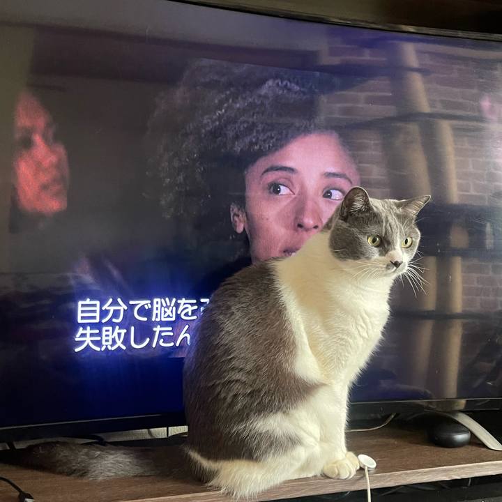 8263692b 840e 4a36 95e9 de5cd0e67092 1735885536979