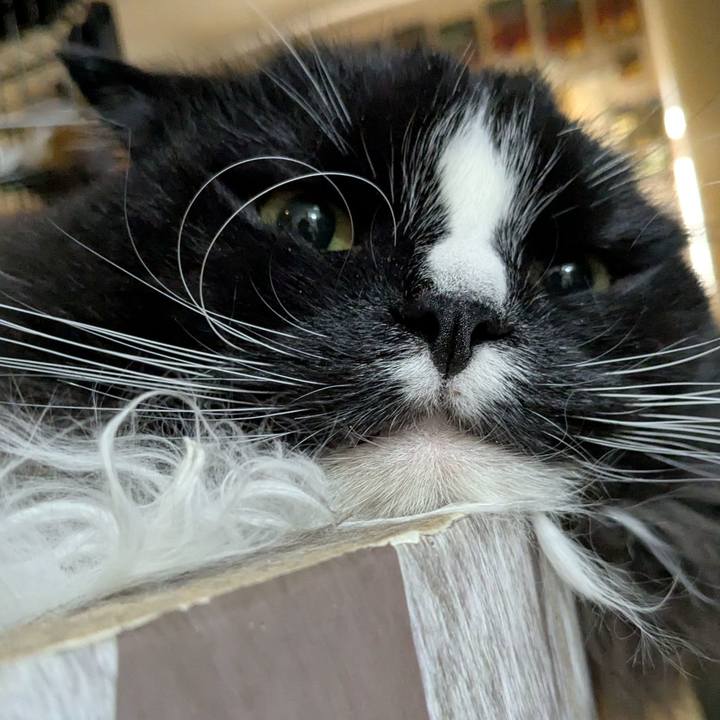 82639c77 5ce0 47a4 a39a 4e7a49adb251 1768035346574