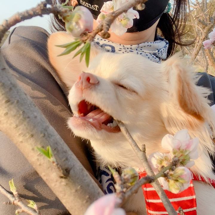 8263bbda 5db3 42bf 819b 9fc626e792e7 1616159248482