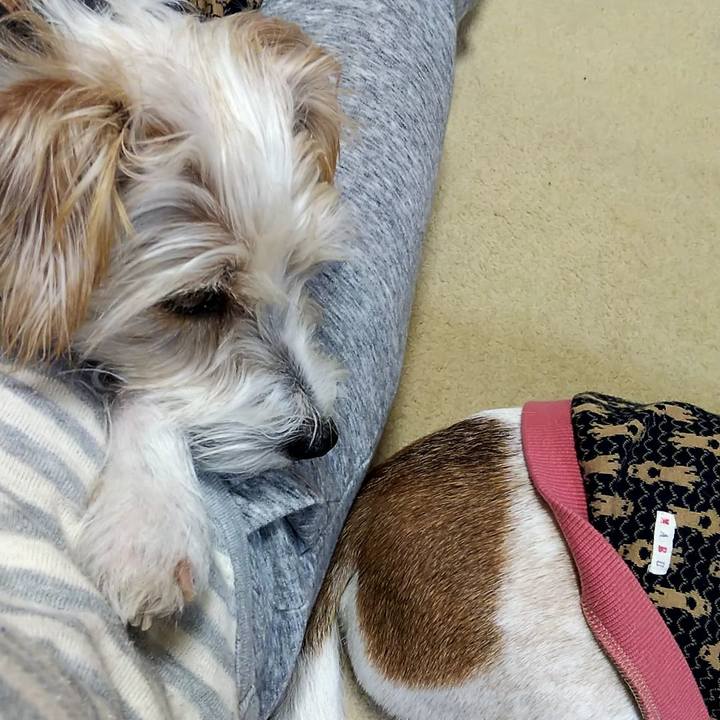 8263be46 fa5e 4334 bc95 485b58968b01 1542981045766