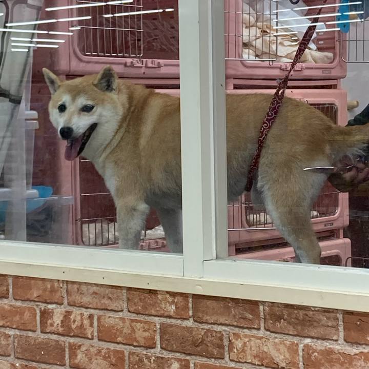 8263d182 67f9 43cf 8310 36f606a059da 1636721583959