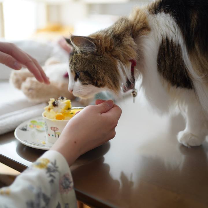 8263d401 a83d 4ec8 b402 ac2d43aa3b42 1618499899452