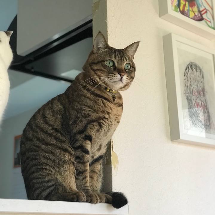 82640346 7c5d 4f2b b2ca f20e9e6446c3 1515028789958