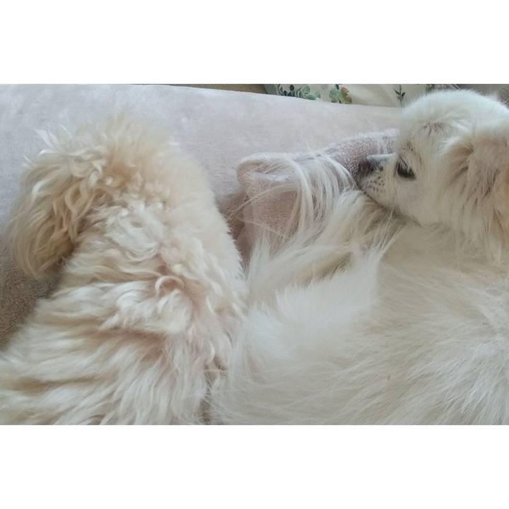 82642457 e571 4e6a a77a 62f7fcfcb0ca 1651555708566