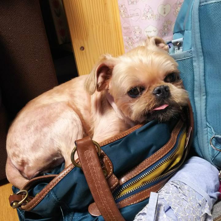 826432de 7fdd 4ccd b6ba 12a8ee920a65 1532433977120