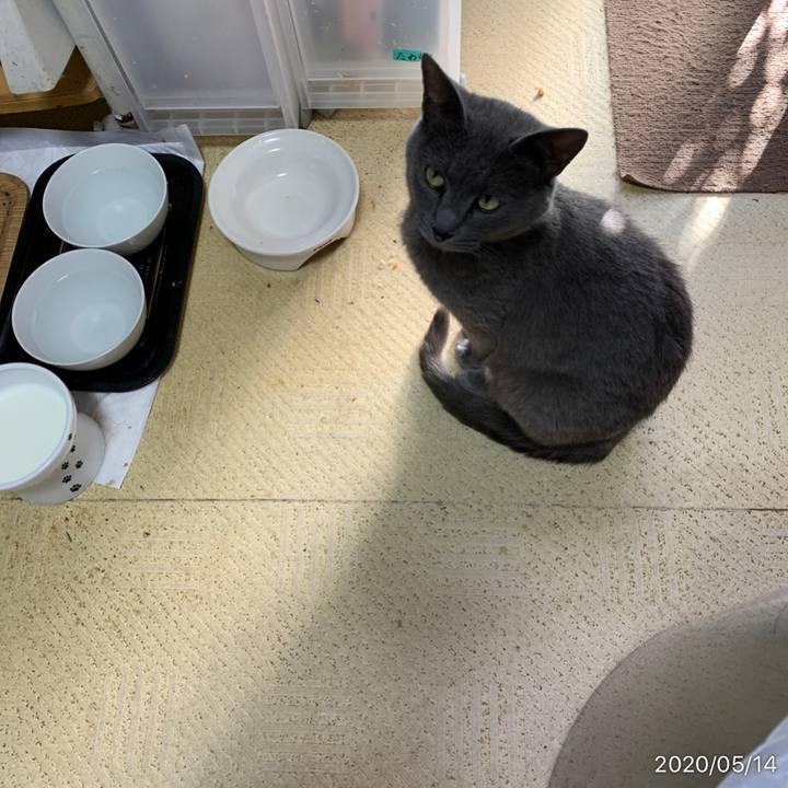 82644314 74e9 4b59 903d 152fe9a36685 1589408199237