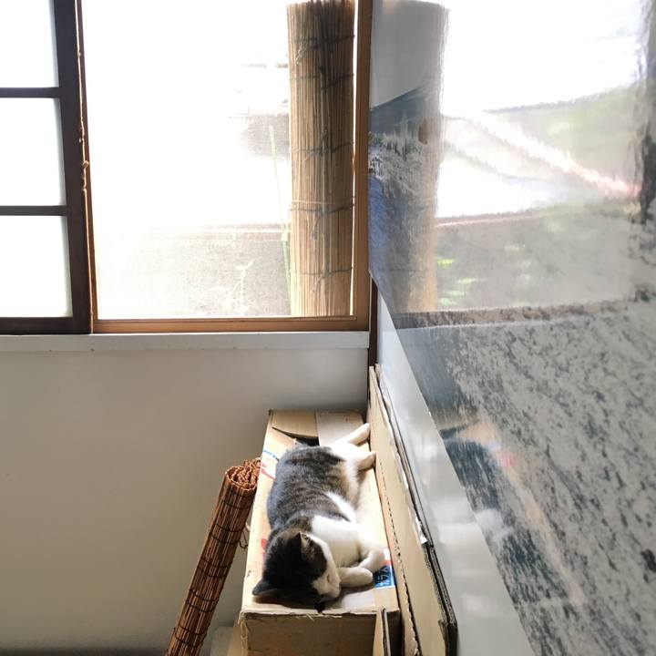 82646b8a b83b 4ea6 ae92 42989a51ccc7 1535630836961