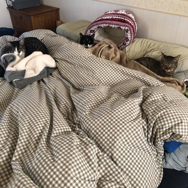 82646d1a d4dd 471d a71f c0653276b311 1550573651834