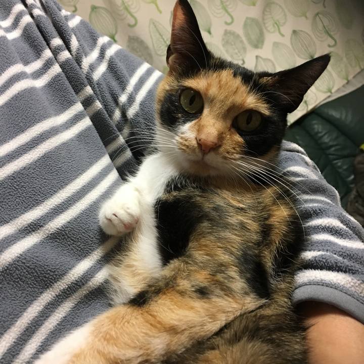 826493fa f7e8 4631 ba68 3ca2cf1991ad 1510494971056