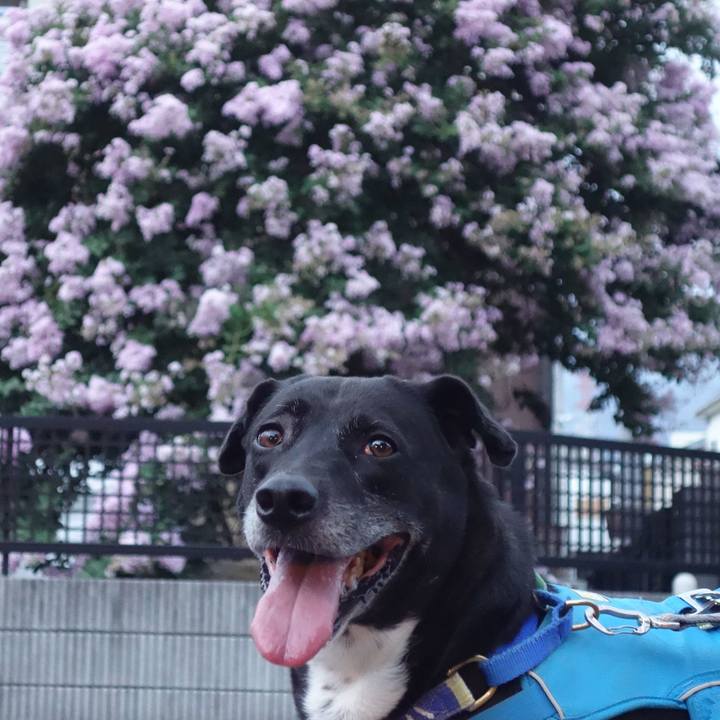 8264fc93 eb46 448b aa8f b470379e234e 1689930964053