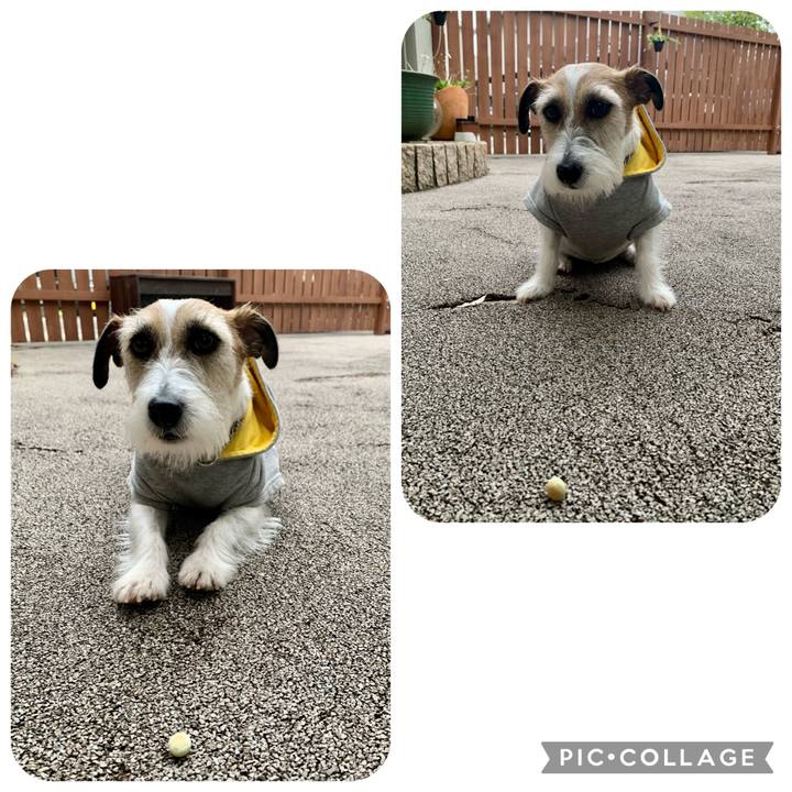 82650acb 75b5 480f 9fd2 311a5780709e 1681472824642