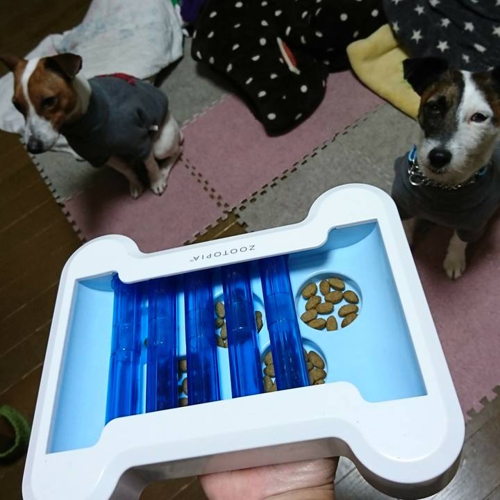 82651beb 02c1 4b84 a467 769d1a64af48 1552736581204