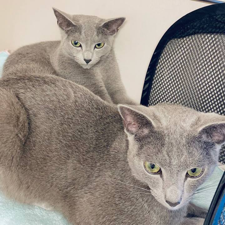 82653cb2 c667 4ed2 b272 94d60f3dc1e9 1622372516506