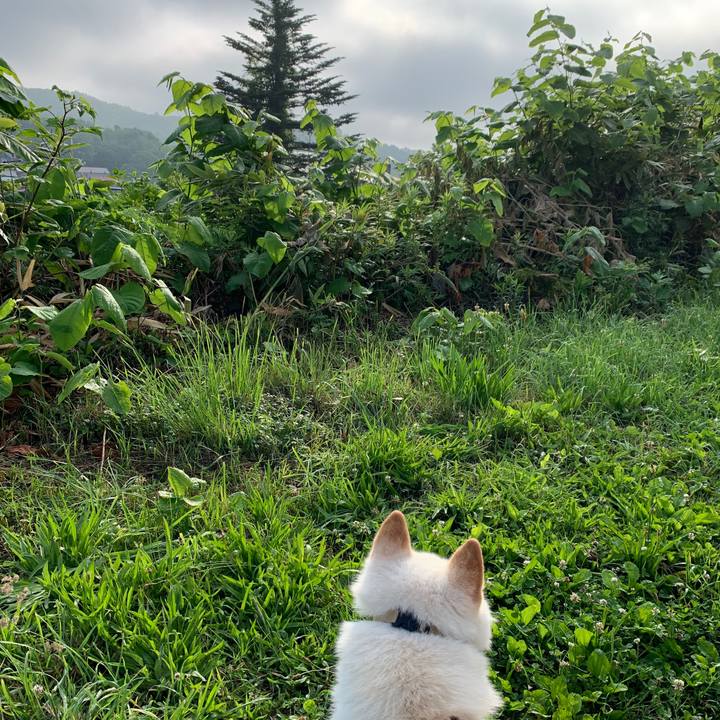 8265dd33 9dad 406a ad6b 8a246f0fb67c 1561500924982