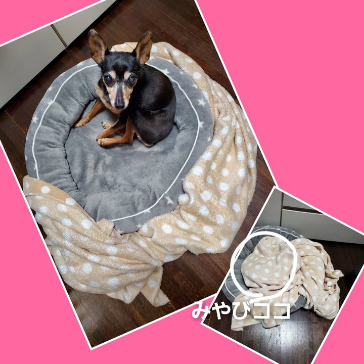 826602e5 ead8 4e3f 9af2 4e8aac2aa89f 1672140163250