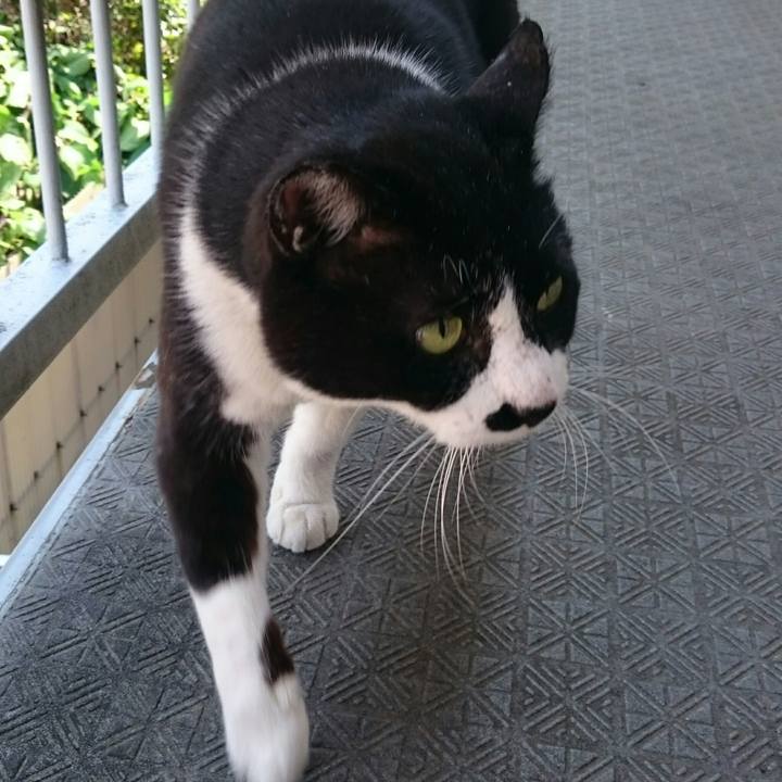 82660bb7 9784 4fda b5b6 037001918a5e 1524360214197