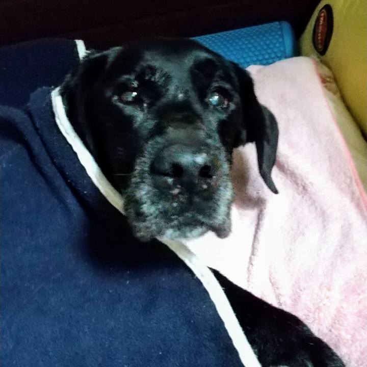 82662063 59f6 458f b9ef bb8f493f043a 1715586997765