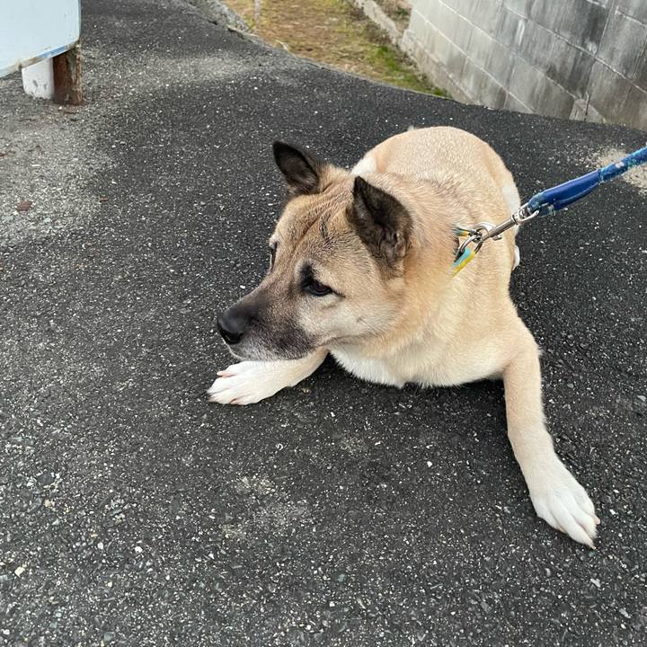 82665e32 9b3e 468d 94b9 6ffc471ff661 1643109155873