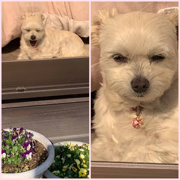 82665e88 bd66 437f b0fc 239a85818241 1610536831318