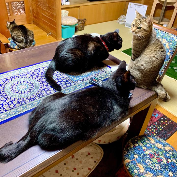 82666d39 4922 4273 b0c2 63cb3e8cf426 1683983566099