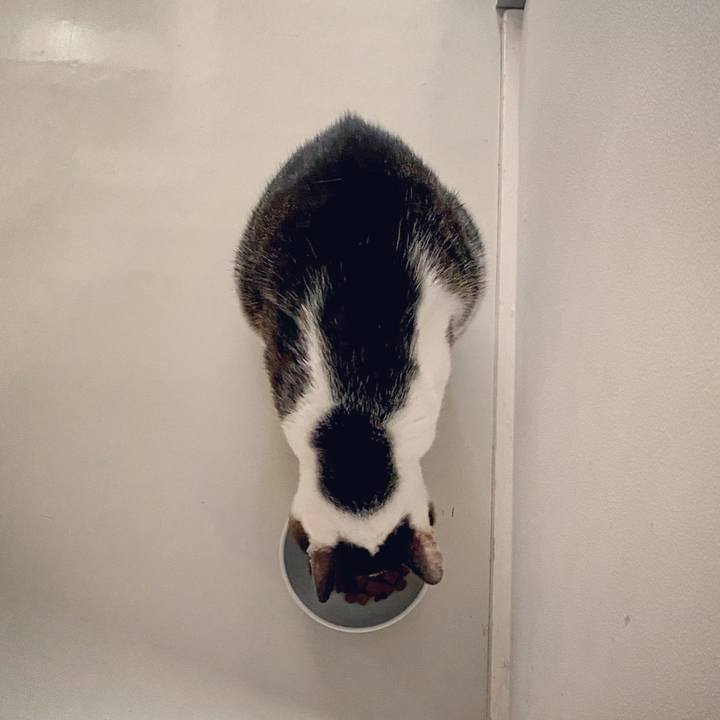 82667bf2 9988 471a be0e e3699f778870 1599374669628