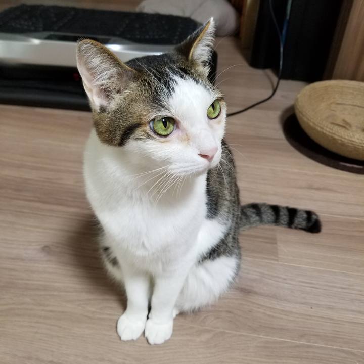 82668cae 2ee0 44b6 b629 5955b7d8b00f 1620335695990