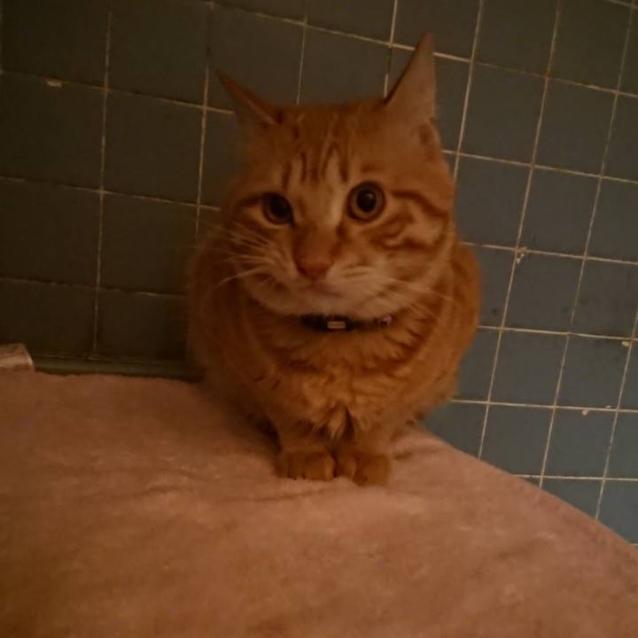 82669206 042e 4d91 874d a8b49464c45b 1645178202405