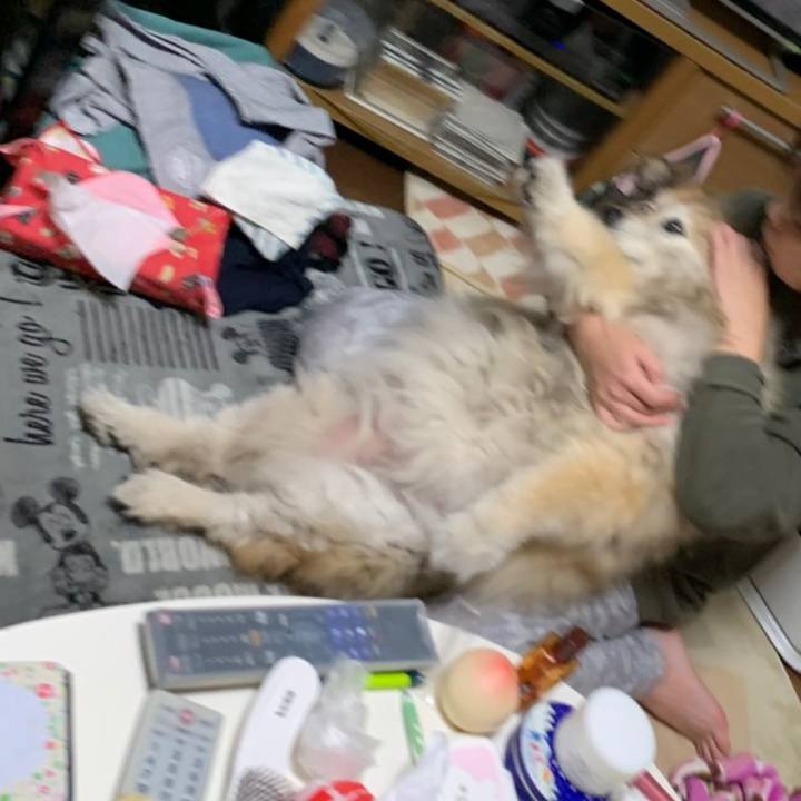 8266b4ae bd7c 4acb 9d31 910c8a3ae478 1572305040553