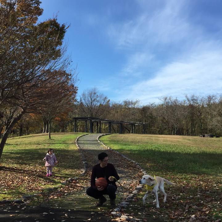 8266ef72 42da 4e15 8ad2 f8f7fe49411f 1606303767731