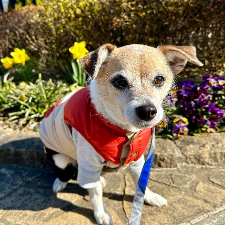 826720b9 2077 4894 9ef7 a2e52c993ce4 1677458752706