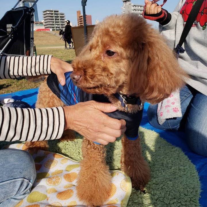 82672f29 1d17 4697 90de bdccea283293 1541938533356