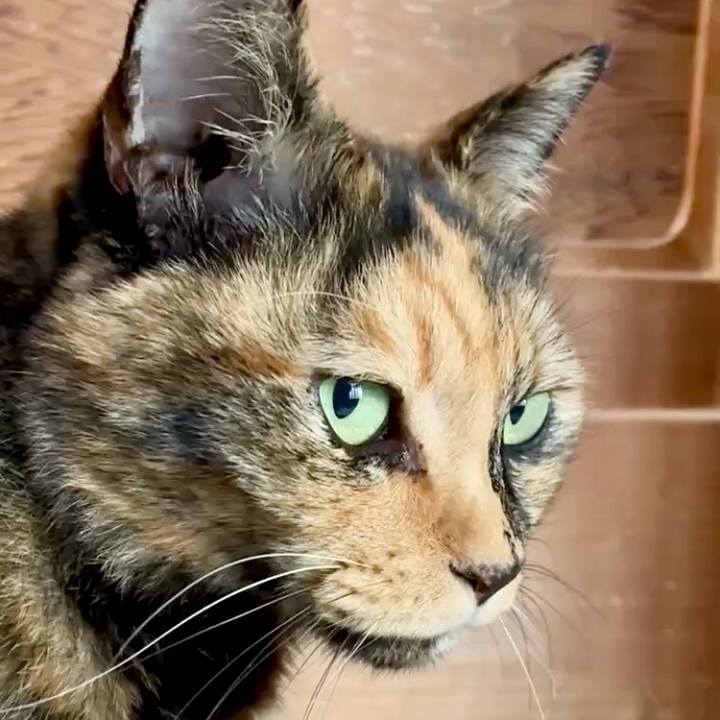 82673133 cffc 491c 8cc6 d3960987a0af 1763181144867