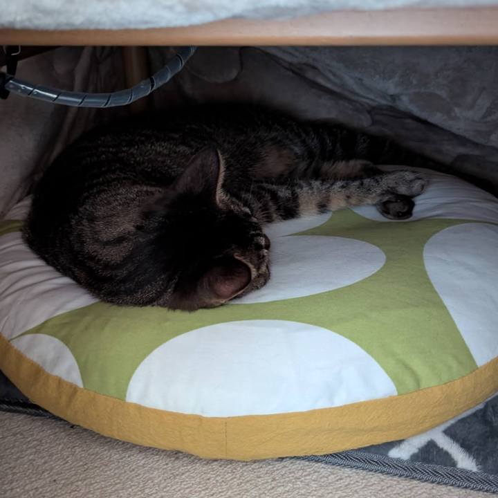 82675861 cbe0 4092 979b 8e3283ab4d1f 1744005339634