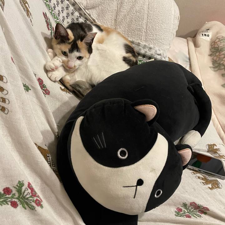 82676d87 8d43 483c a6fc 7613727dfeb6 1704701085755