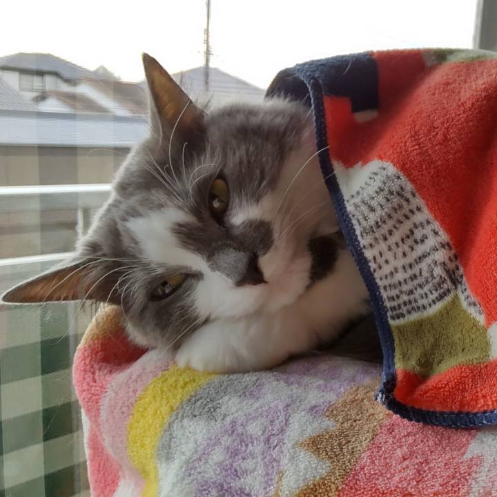 82676d87 994a 4586 bae2 26bfafc00f29 1635060342105