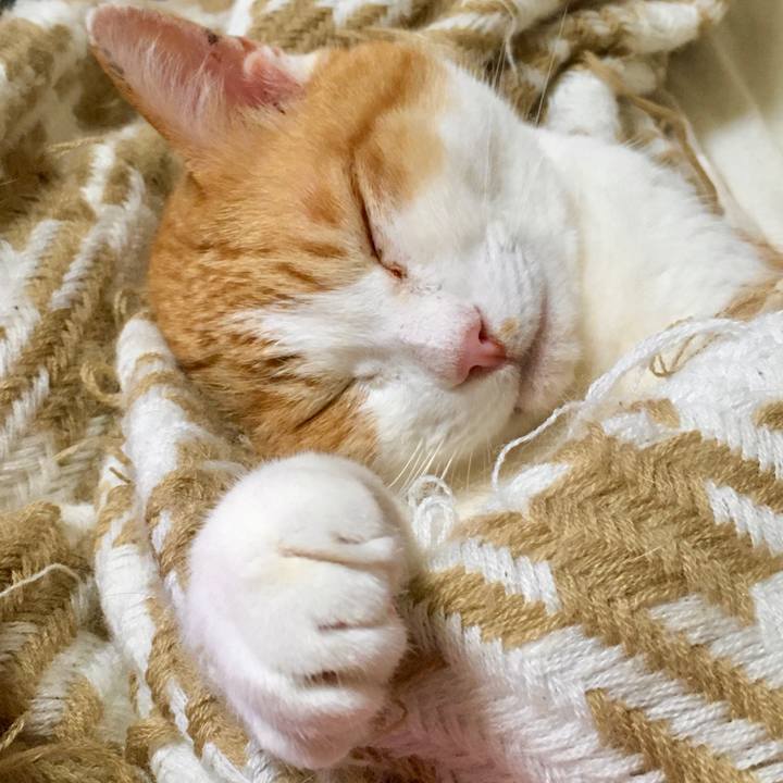 8267858c 985b 4b3e 8cc9 a5d7eec81db9 1589785354739