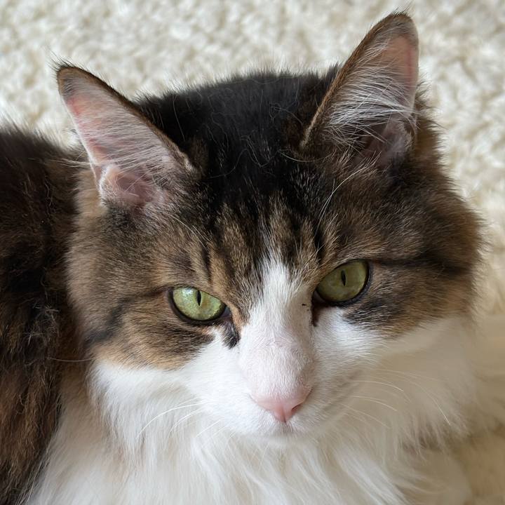 8267e45a b421 4088 b0d3 02a04ef87bd3 1771721255274