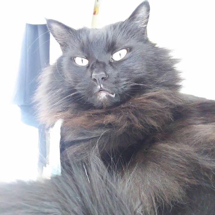 82680f57 461b 45f5 9d72 f30610ca0f83 1549174368899