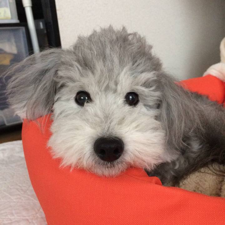 82682edf dd50 4df2 922d d261bddf4d14 1716867573512