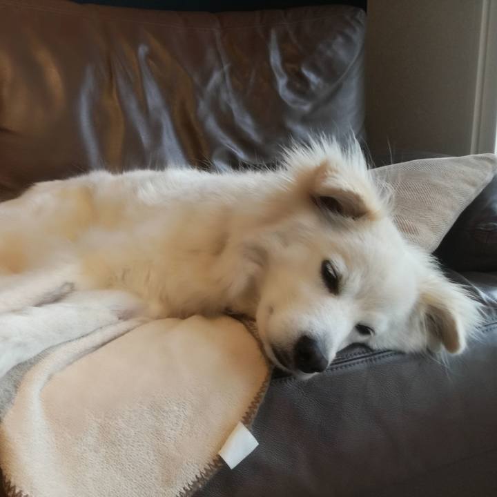 826834a7 0a38 46c2 bbe6 5aa5f14bd403 1523243406739