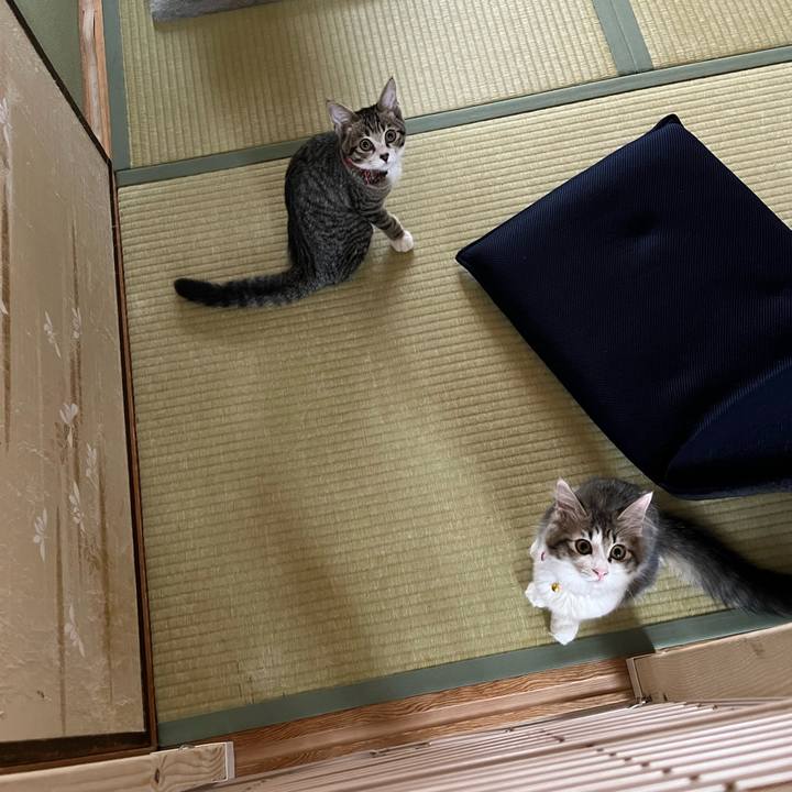 82685b06 7411 48ee bab3 57e8583e5b2b 1691817266587