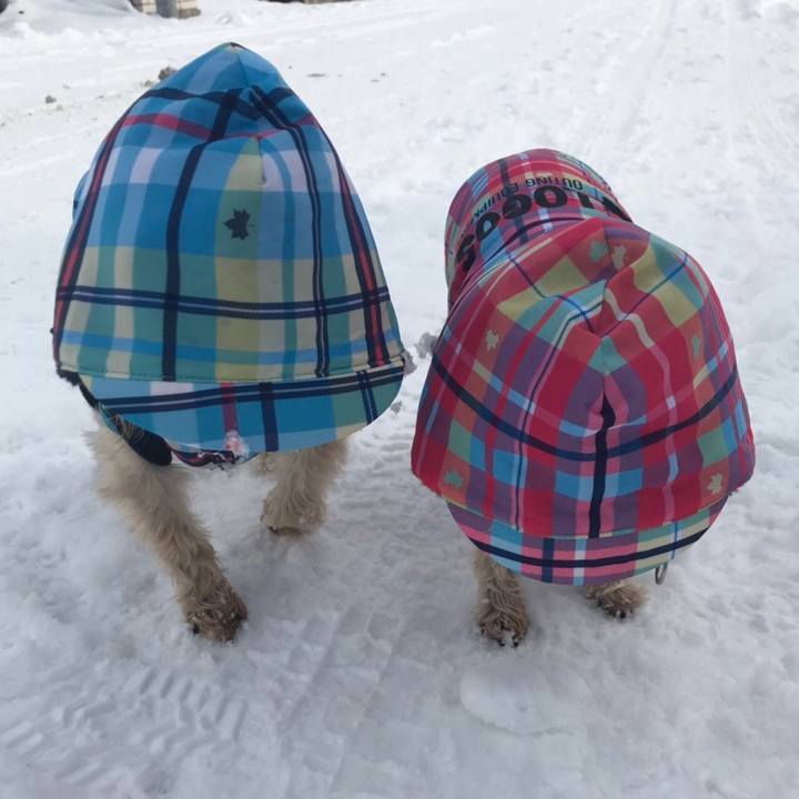 826870a5 3ddb 4202 8d64 f390e9ab83d6 1579684729535