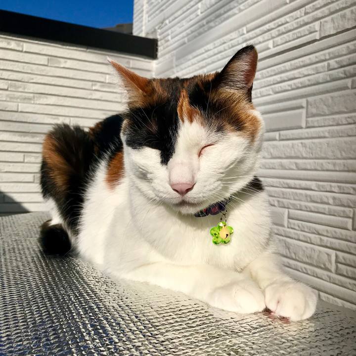 8268a763 69d7 4250 aaab 906997bd31cc 1541376783813