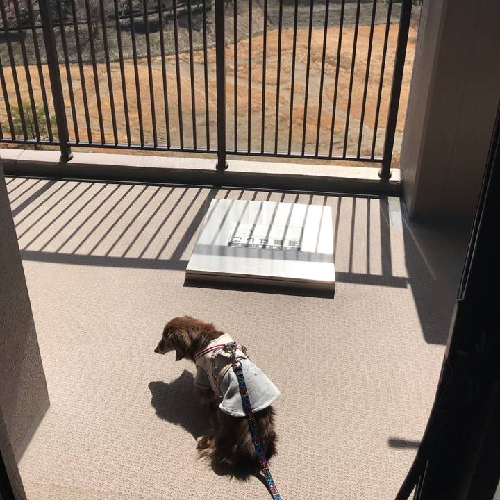 8268c541 e57a 4393 8f76 69048cb0b077 1583723031299