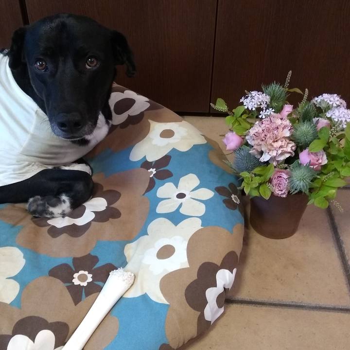 8268d627 56b6 4b8b 8298 b4d702dfeffc 1619694445964