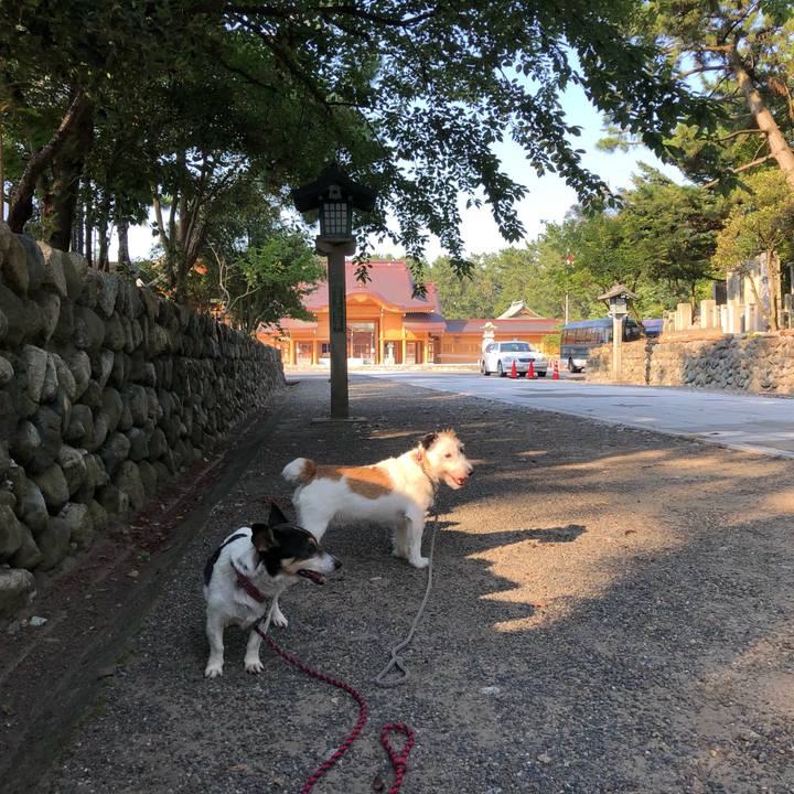 8268d69e 6f93 4436 9788 affd39c1c2a5 1564962462122